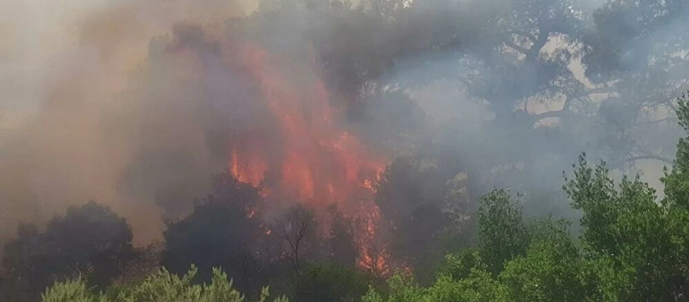 Ολονύχτια μάχη με τις φλόγες στον Έβρο: Επιστρέφουν στα σπίτια τους οι κάτοικοι της Λευκίμης